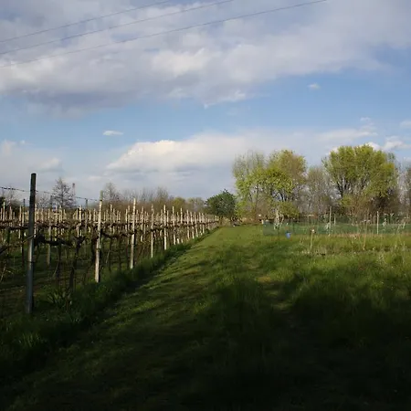 Bed & Breakfast I Guardiani Carlino