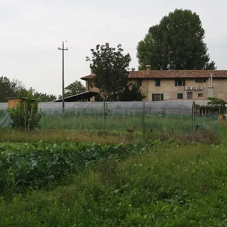 I Guardiani *