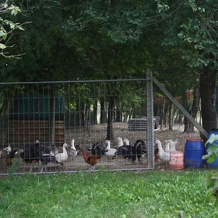 I Guardiani Nocleg ze śniadaniem *
