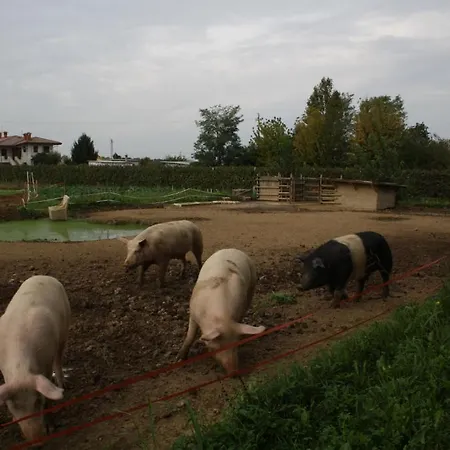 Bed & Breakfast I Guardiani Carlino